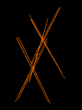 doppelte-barriere.de