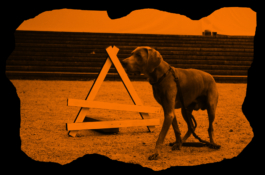 doppelte-barriere.de